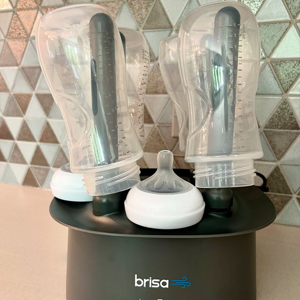Brisa Systems